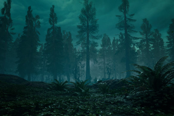 atmospheric forest